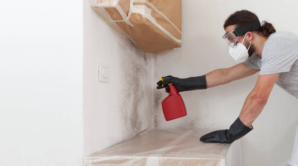 Professional Mold Testing technician working in Roslindale, MA